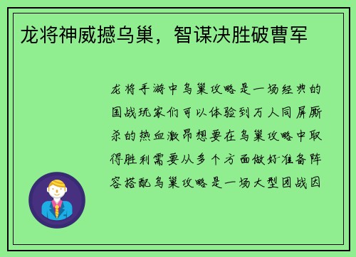 龙将神威撼乌巢，智谋决胜破曹军